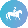 showjumping